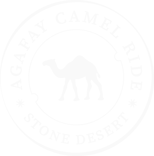 GAFAY CAMEL RIDE